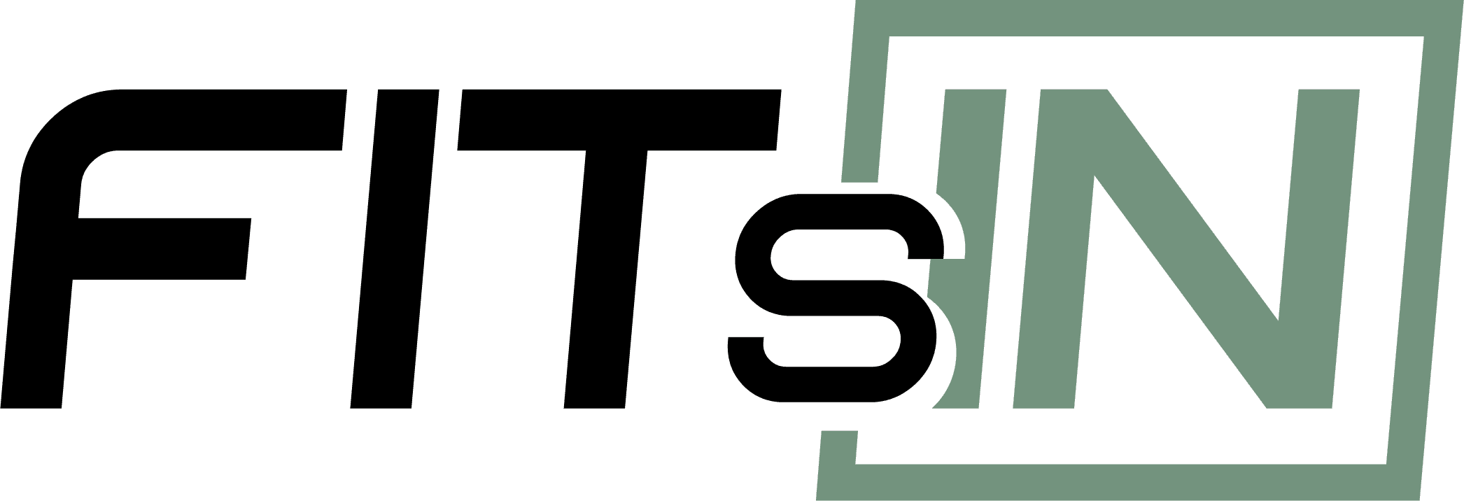 Logo FITs-IN zonder slogan